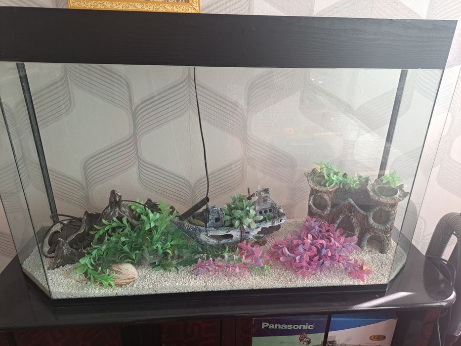 Akvariyum patstavka sotiladi