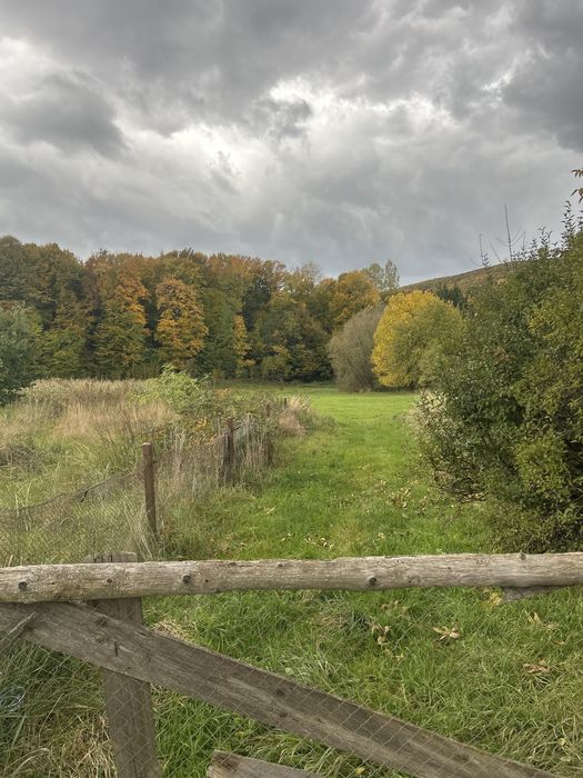 Vând teren în Putna, 30 ari, zonă frumoasă și liniștită