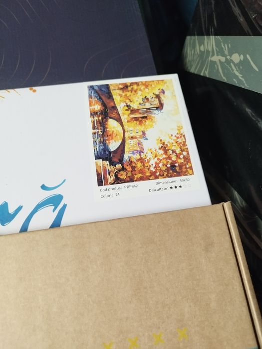 Seturi tablou pt pictat cadoul ideal