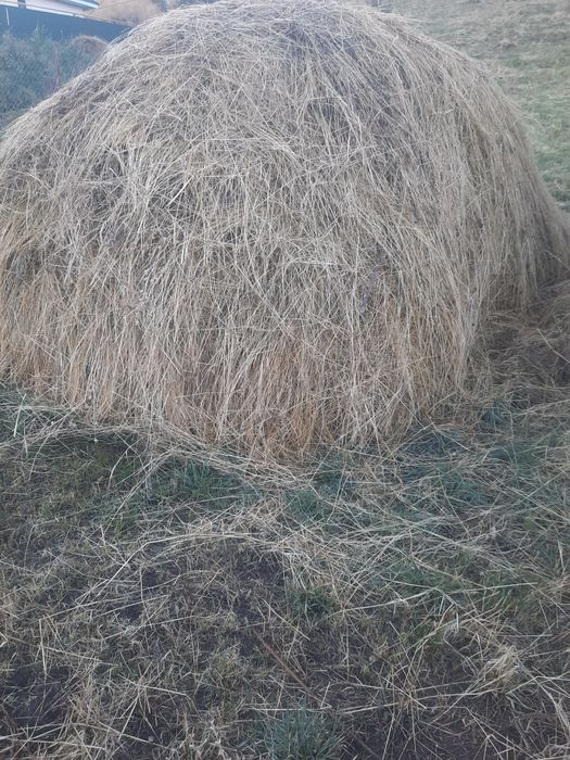 Продам сено горное
