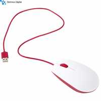 Mouse Raspberry, nou