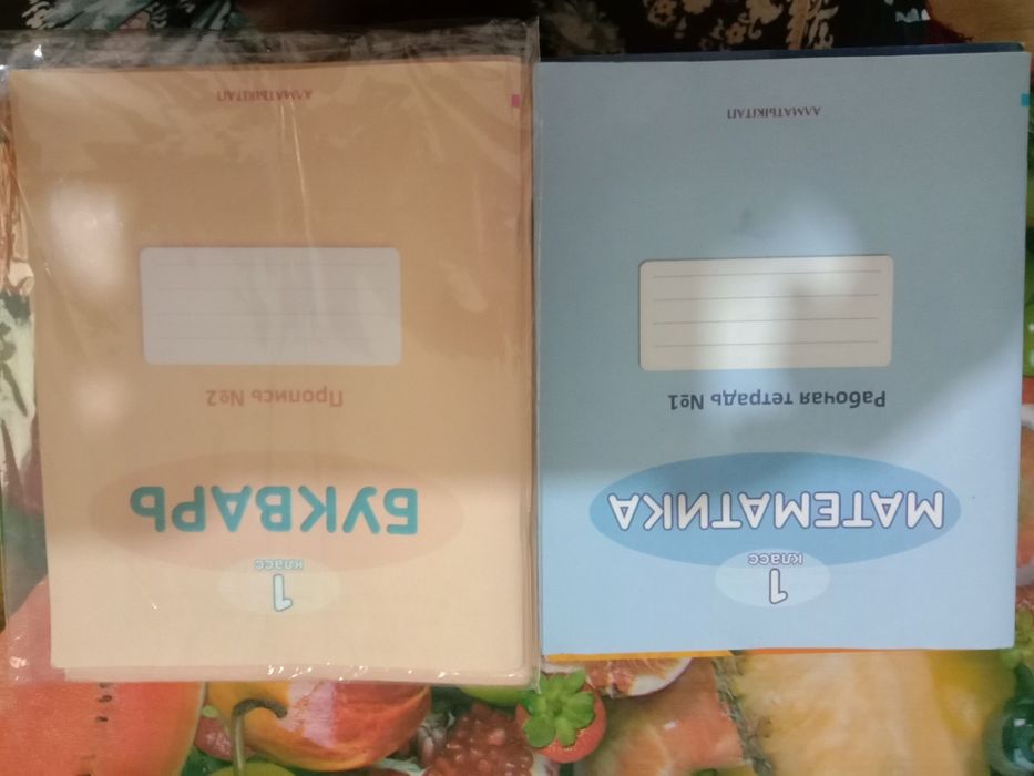 Рабочие тетради для 1-2-3 класс русс.обучение