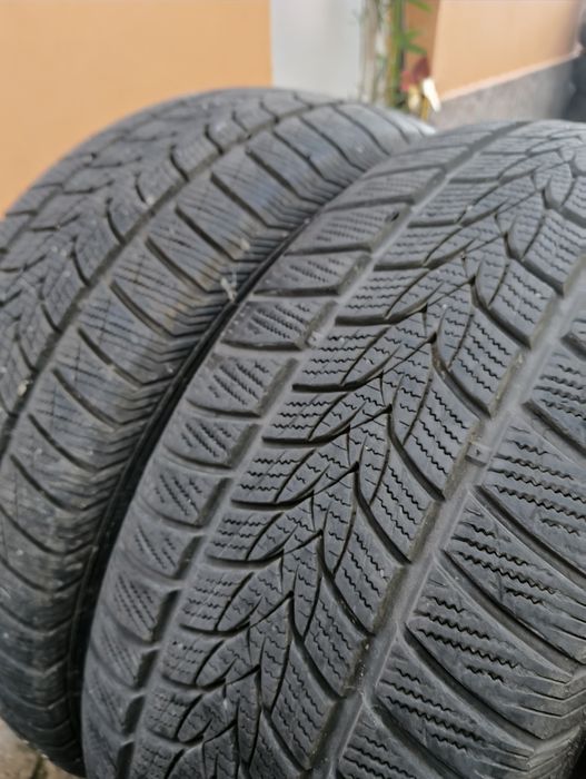 215 55 17 Minerva Iarna dit 2022