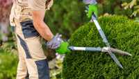 Întreținere spatii verzi ( tuns gazon , curățare livezi )