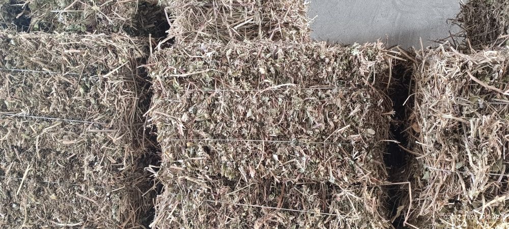 Ерённок пресс Сотилади