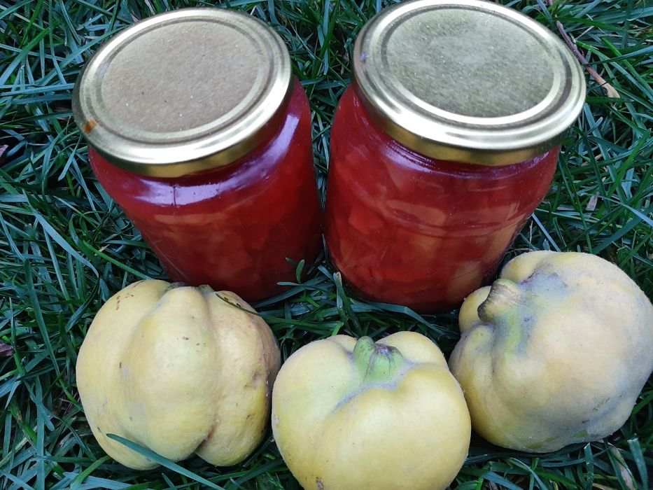 Dulceață gutui naturala