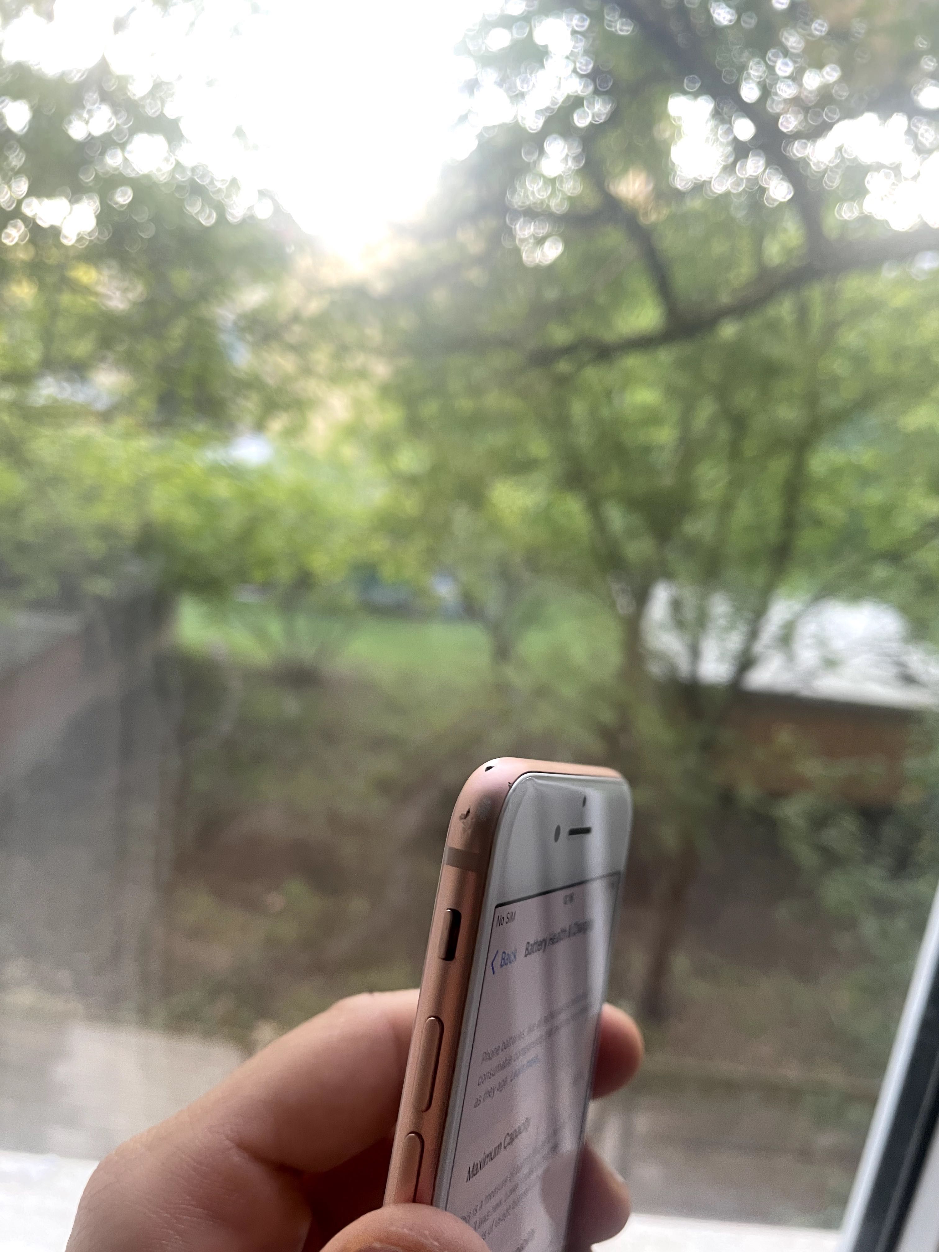 Iphone -8 Rose Gold