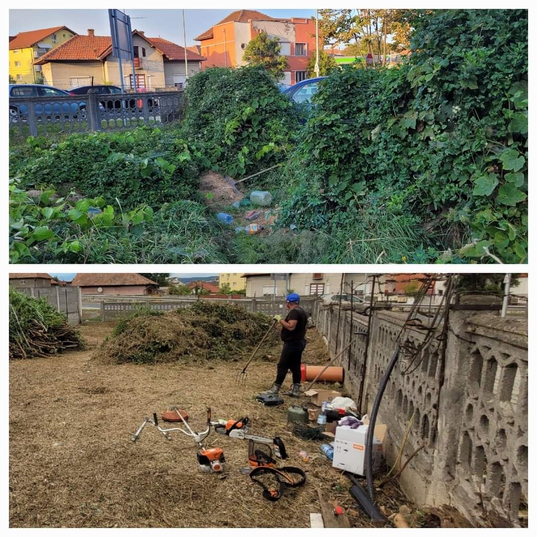 Tundem gazon,Motocultor,,defrișăm lăstăriș,tocăm crengi,întreținem/cu