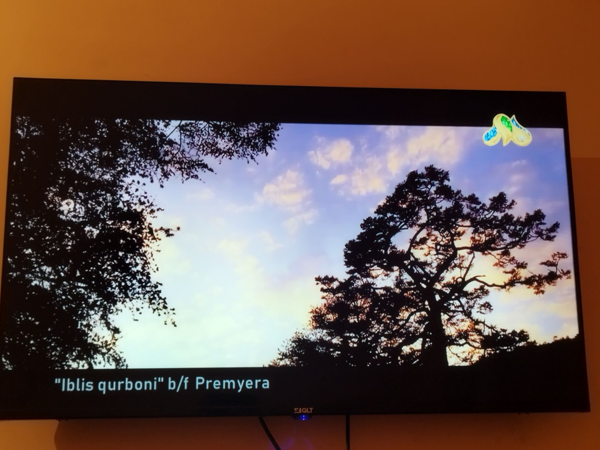 QLT smart tv android