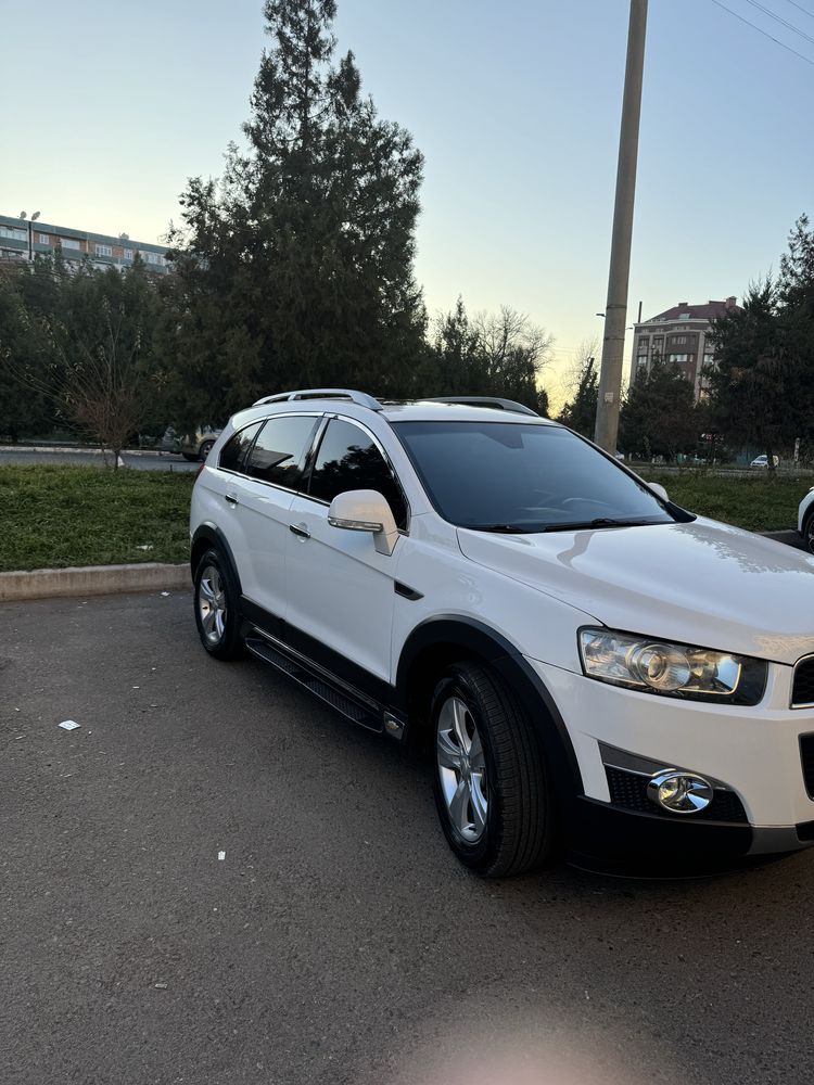 Продаётся каптива
