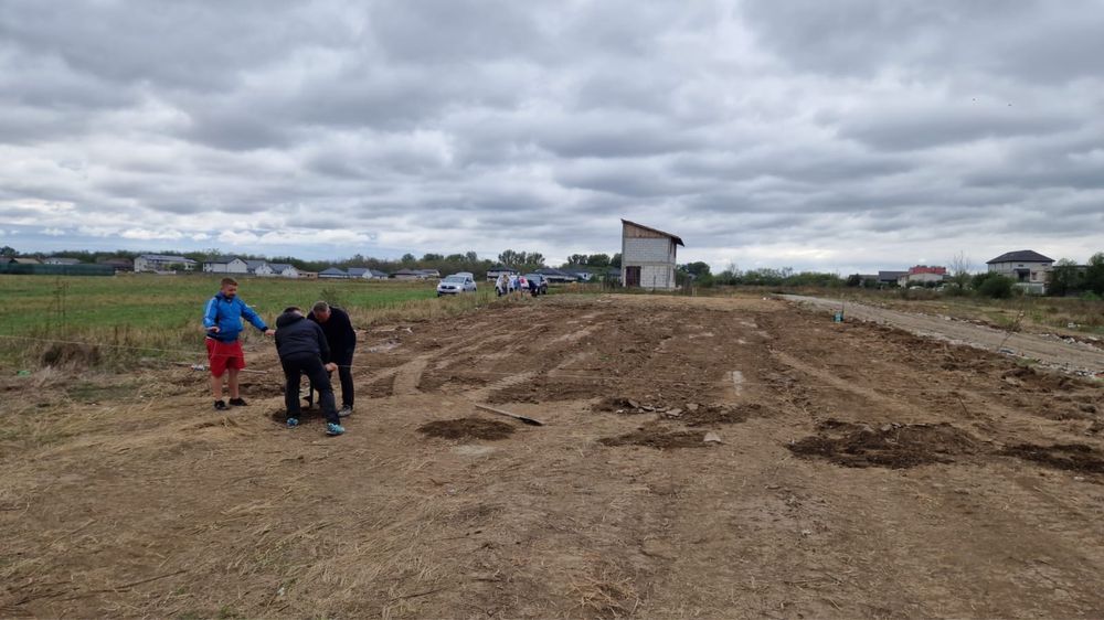 Teren Clinceni -Domnesti