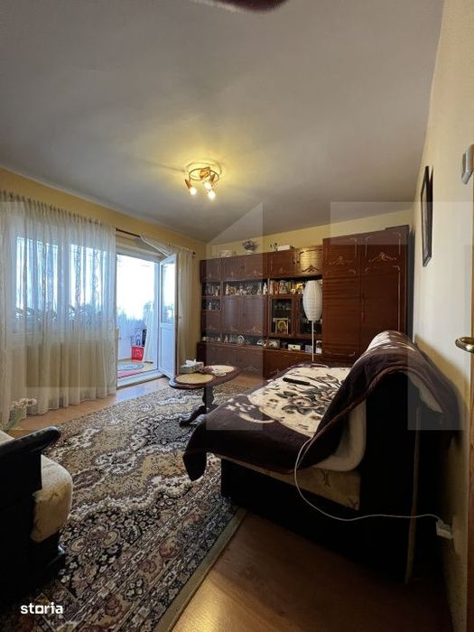 Apartament cu o camera Buziasului