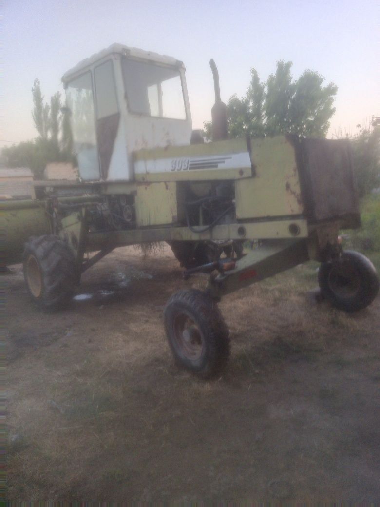 Maral303 beda urgich kambayn