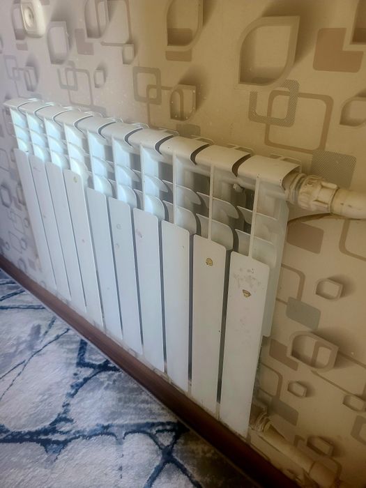 Radiator Bi metall радиатор алюмин