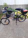 Pegas cu motor 80cc, 2t