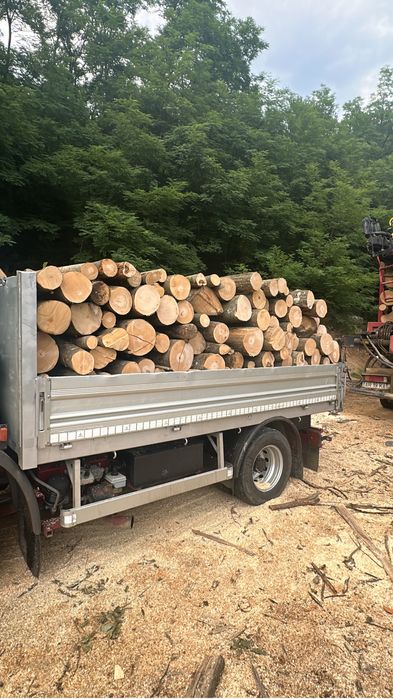 Lemne de foc esenta tare