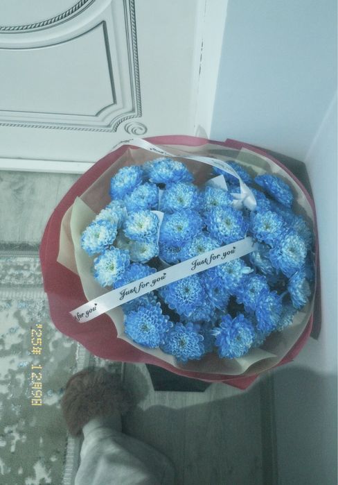 Цветы новые.Свежие