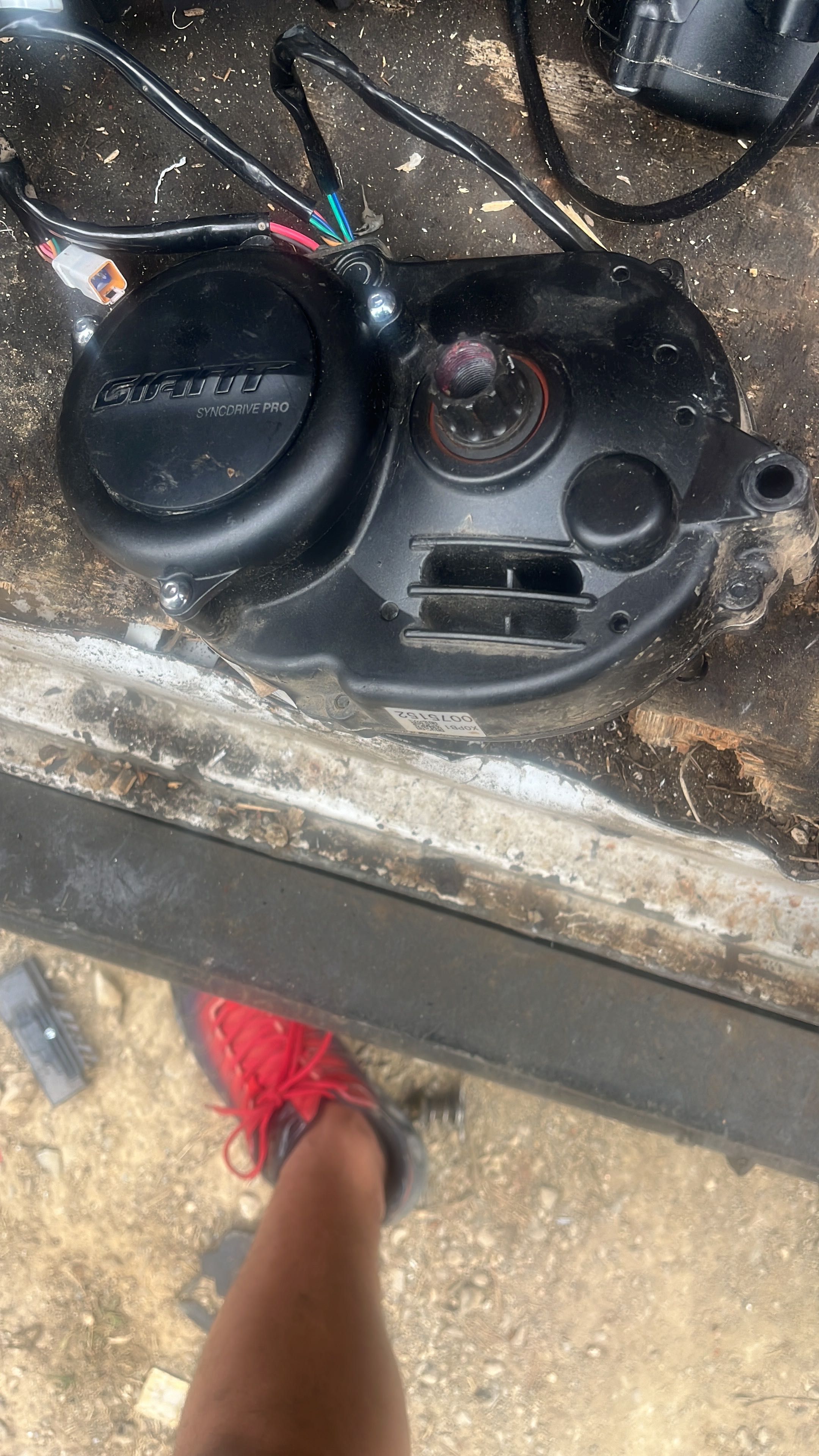 Motor de bicicletă electrică