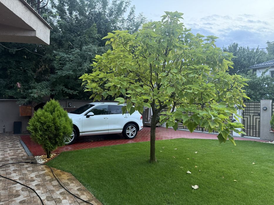 Volkswagen Touareg 2013 , 3,0 TDI