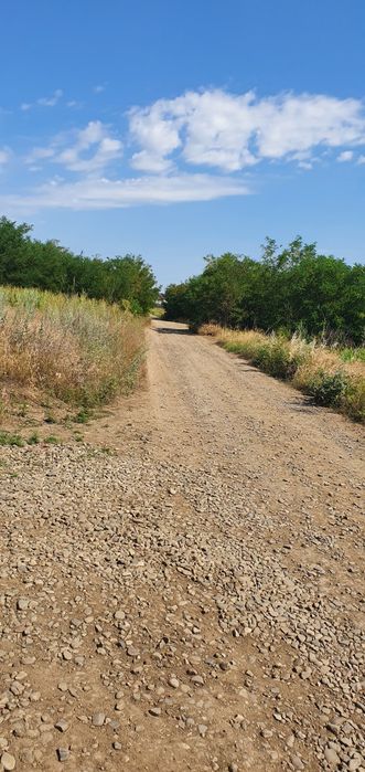 Teren intravilan Rediu