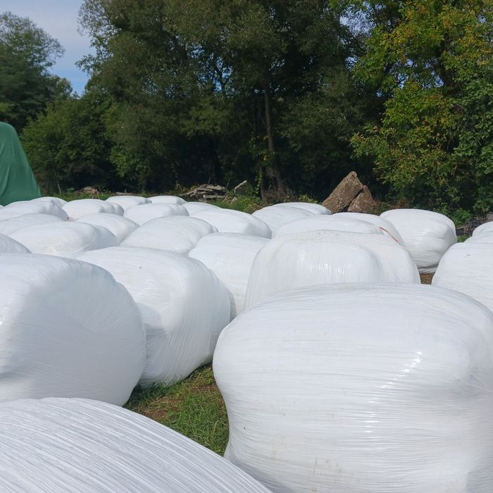 Baloti lucerna infoliati schimb cu utilaje agricole