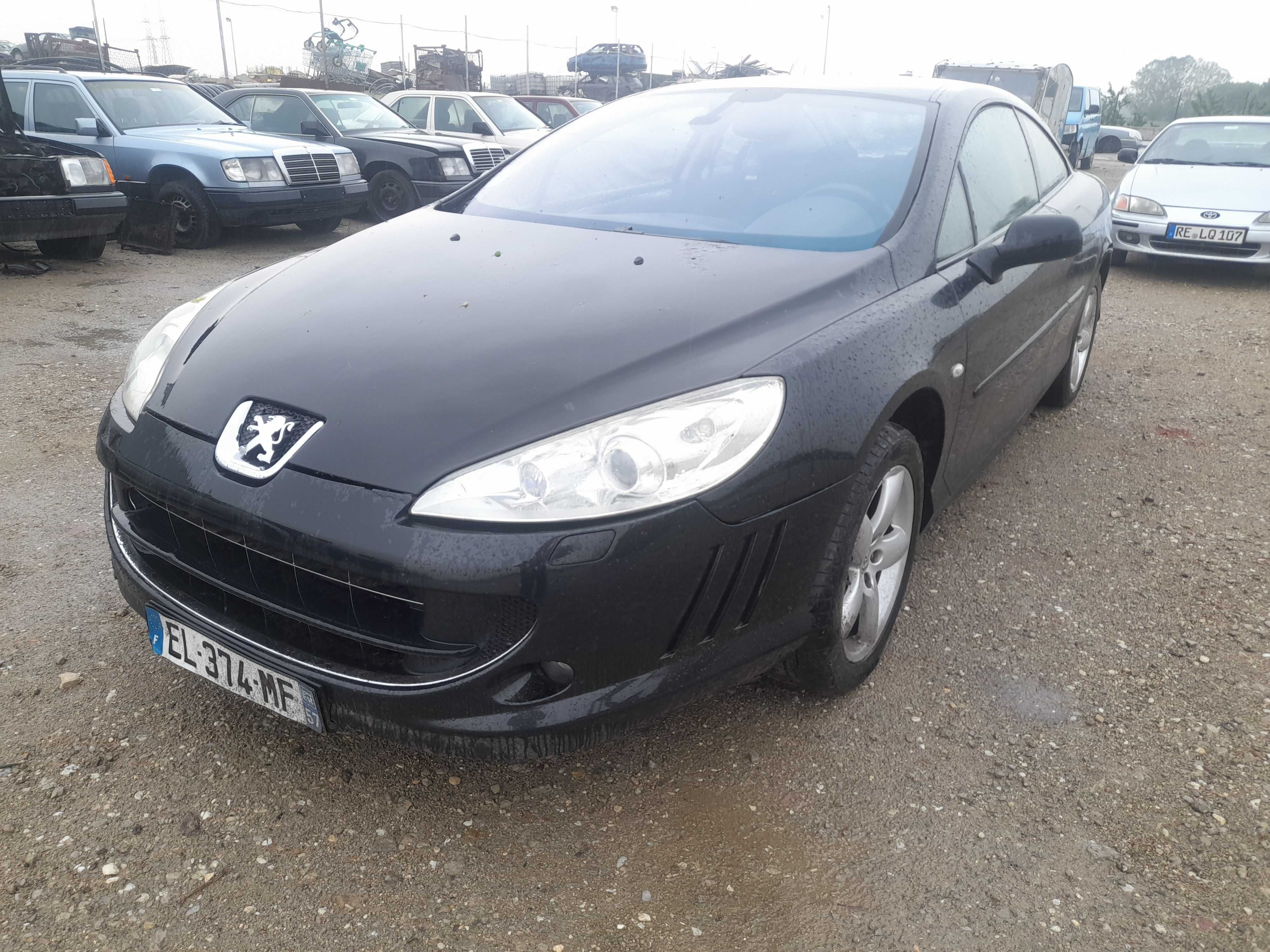 На части! Peugeot 407 2.7 V6 24V HDi