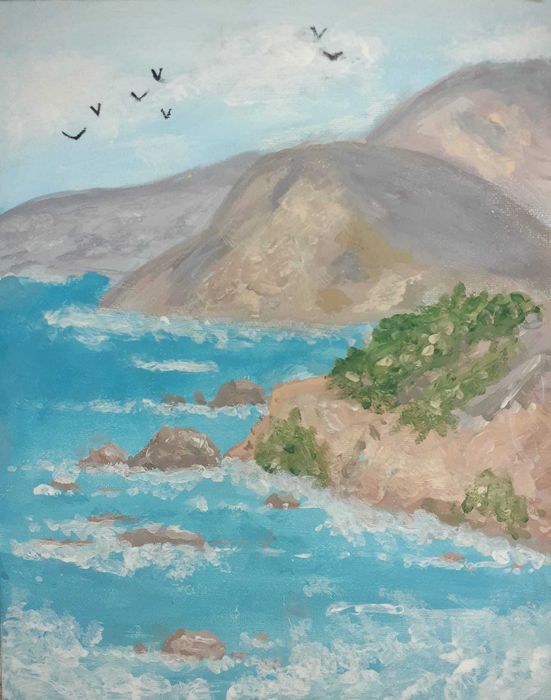 vand picturi 24cmx30cm in vopseluri acrilice