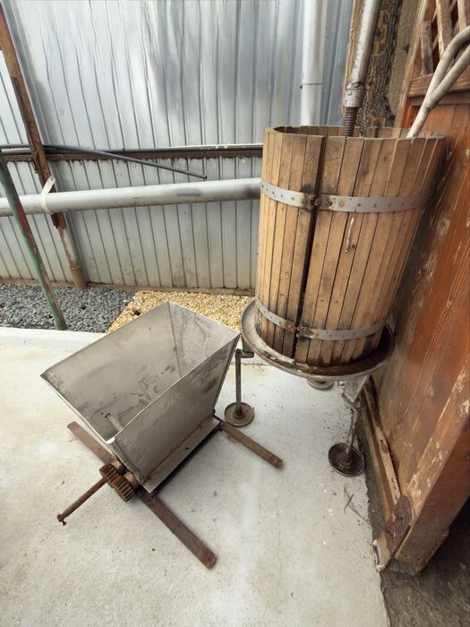 Set teasc si zdrobitor struguri