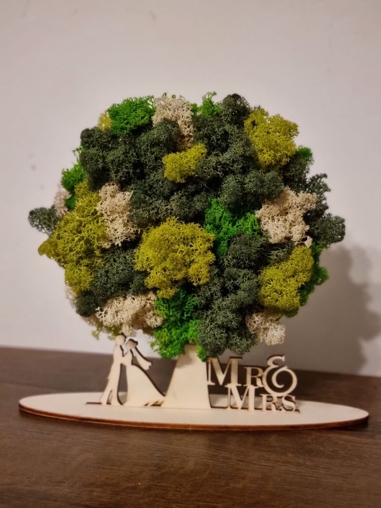 Decoratiuni licheni " Copacul vieții "
