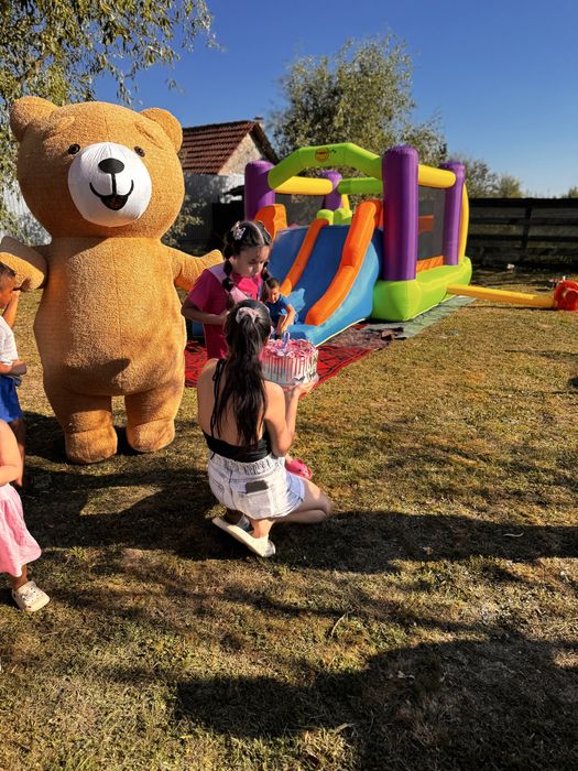 Topogan gonflabil si urs gonflabil Teddy bear