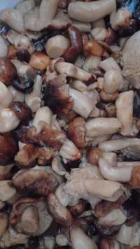Продам грибы соленые Валуи
