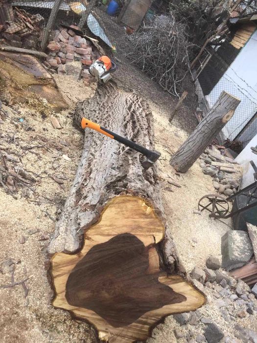 Сечене рязане оформяне на опасни дървета Арборист Вишка Кран - Договор