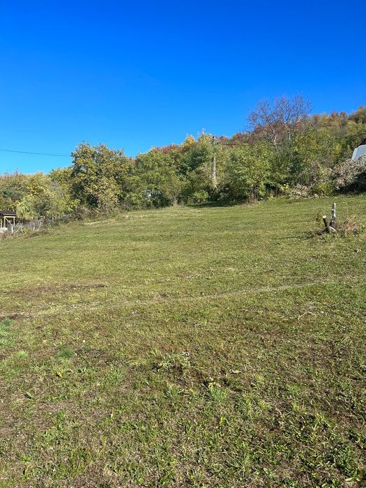 Teren intravilan 2512 Gura Vitioarei