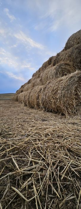 Продам сено укос 2024 года
