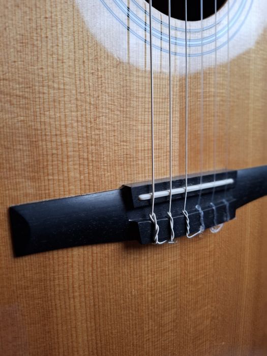 Vand chitara clasica Taylor 214ce-n
