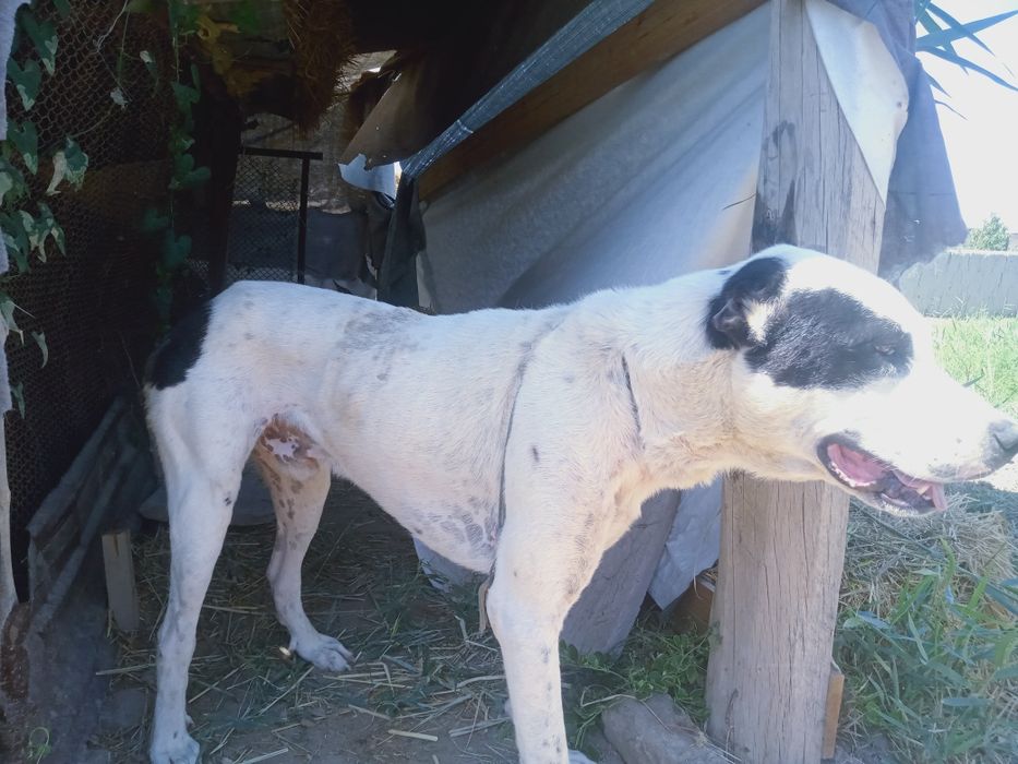 Meni. Itim. Eng. Zorlaridan