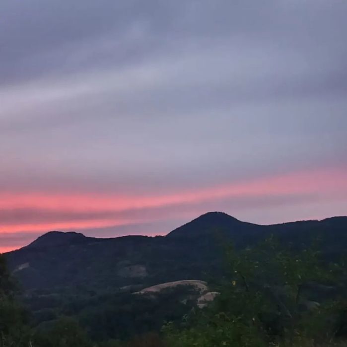 Amestecuri de plante medicinale  -pentru tine și familia ta