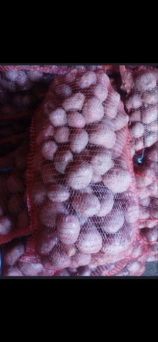 Vand cartof rosi si alb