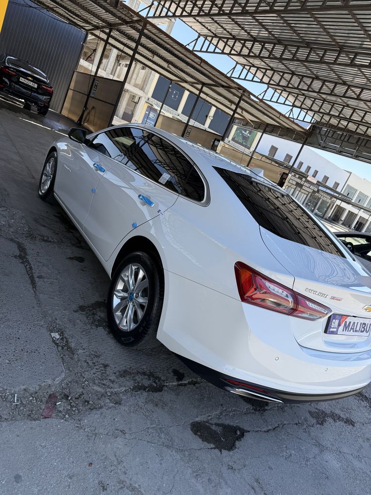Malibu premer 2022