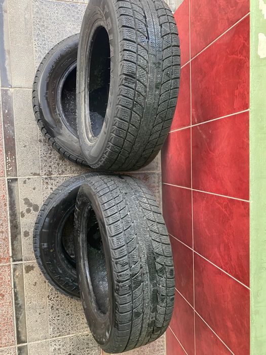 Зимние шины Triangle