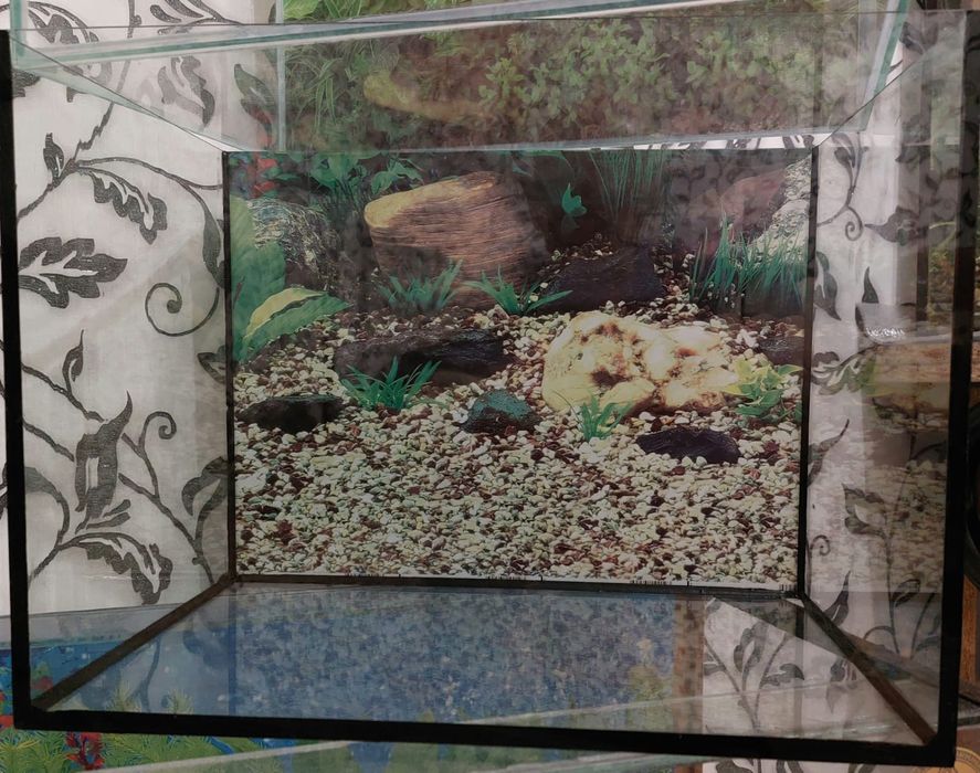 Аквариум 50 лит. Новый продам!!!