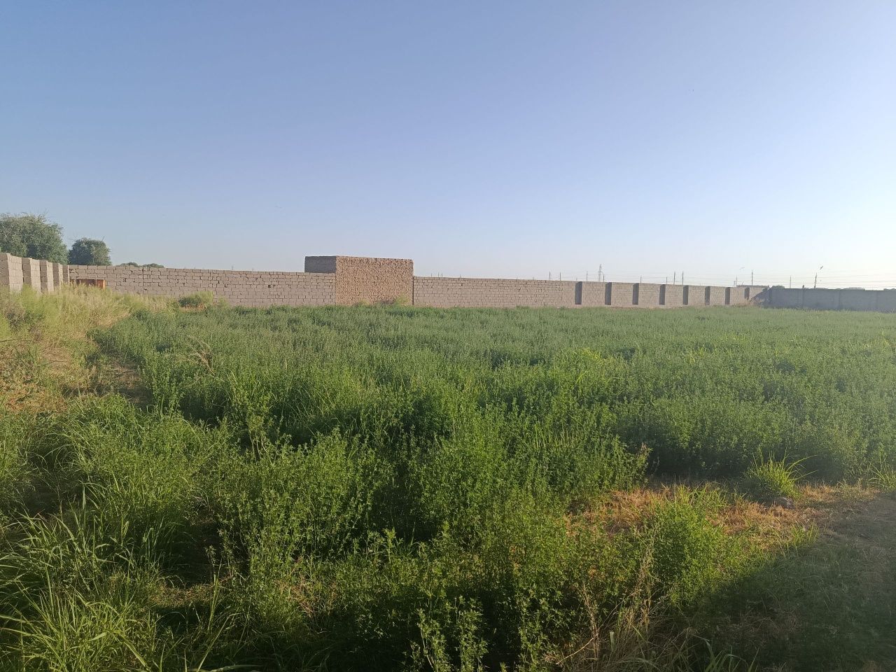 Qarshida yer sotiladi