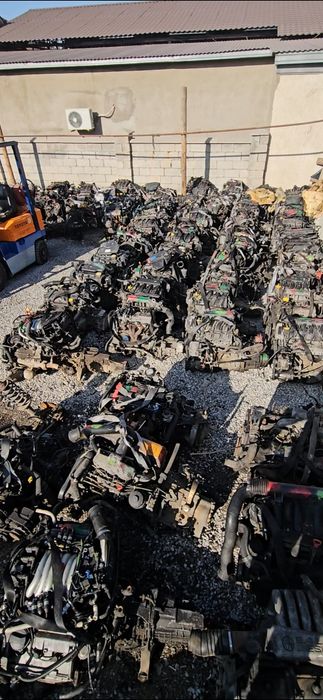 Маторы из европы