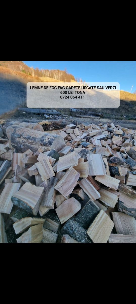 Lemn de foc esenta tare fag capete uscate sau verzi 600 lei tona