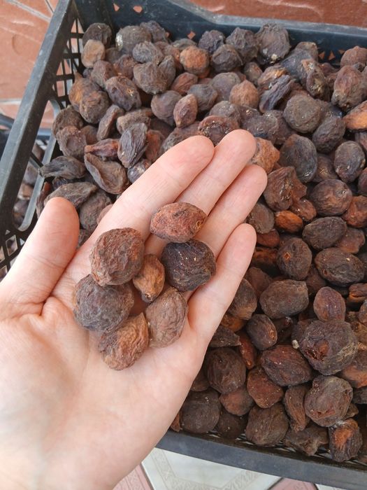 Табиғи өрік қағы