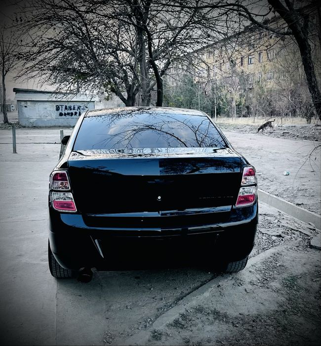 Cobalt MCM 2025-26 BLACK EDITION