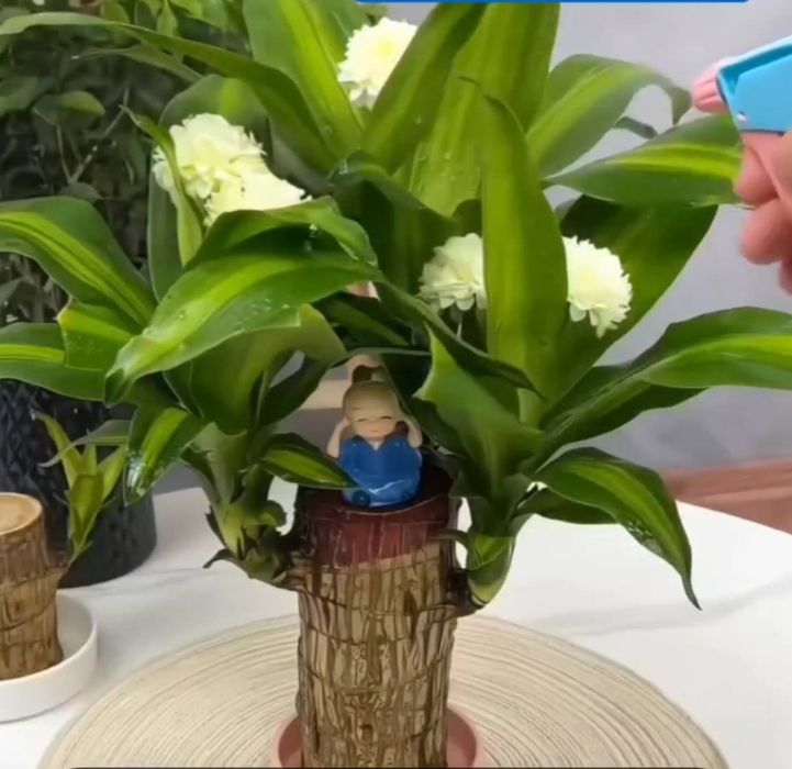 Daraxt gullari ajoyib