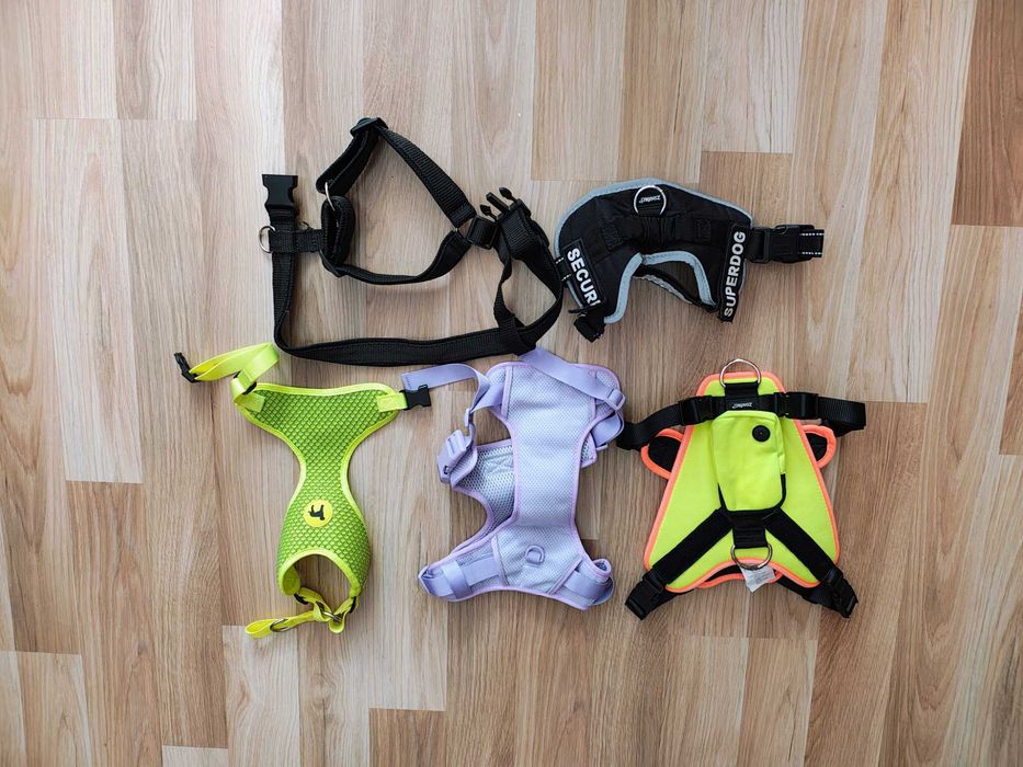 Ham catel pisica talie medie mare