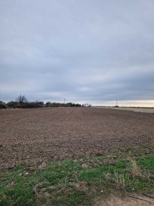 Teren extravilan 3.313 mp  – Slatina, Satu Nou, Strada Ulmului