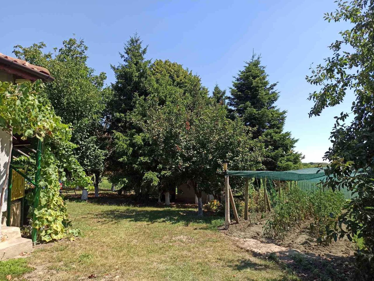 Продава се Земеделски имот в с. Къпиново, Област Добрич -  кв.м за 3296 €/дка - Снимка #6